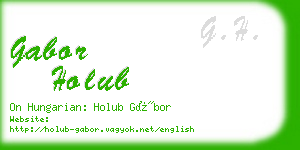 gabor holub business card